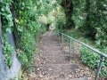Fußweg zum Alexandra Park
