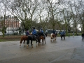 Reiter im Hyde Park