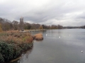 The Serpentine See