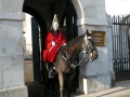 Leibwächter vor dem Horse Guards